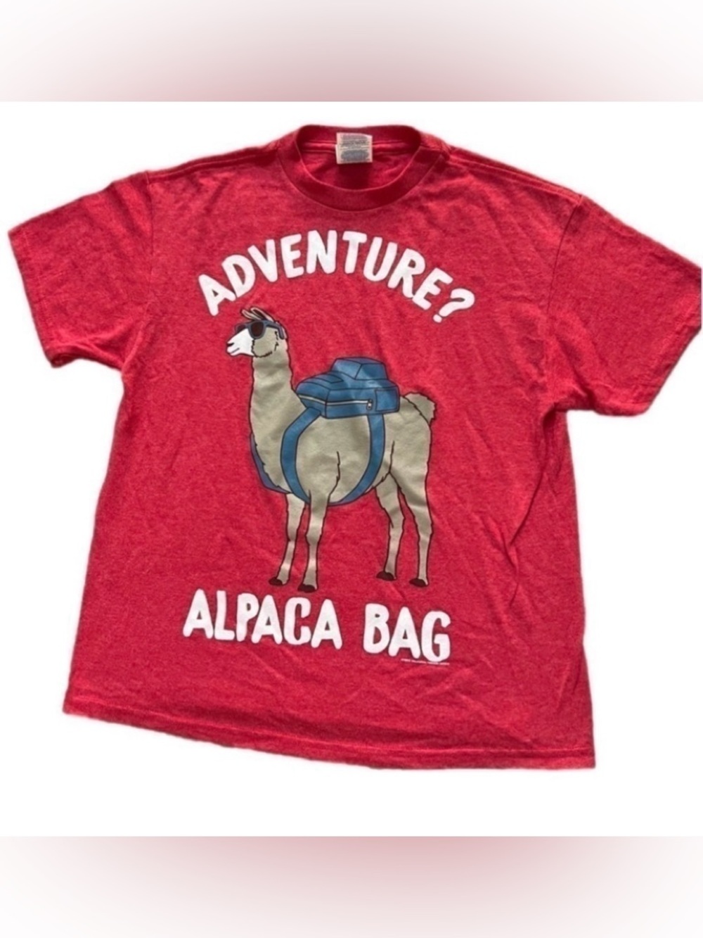 ADVENTURE?  Alpaca Bag Youth Small Kid’s Summer T-Shirt